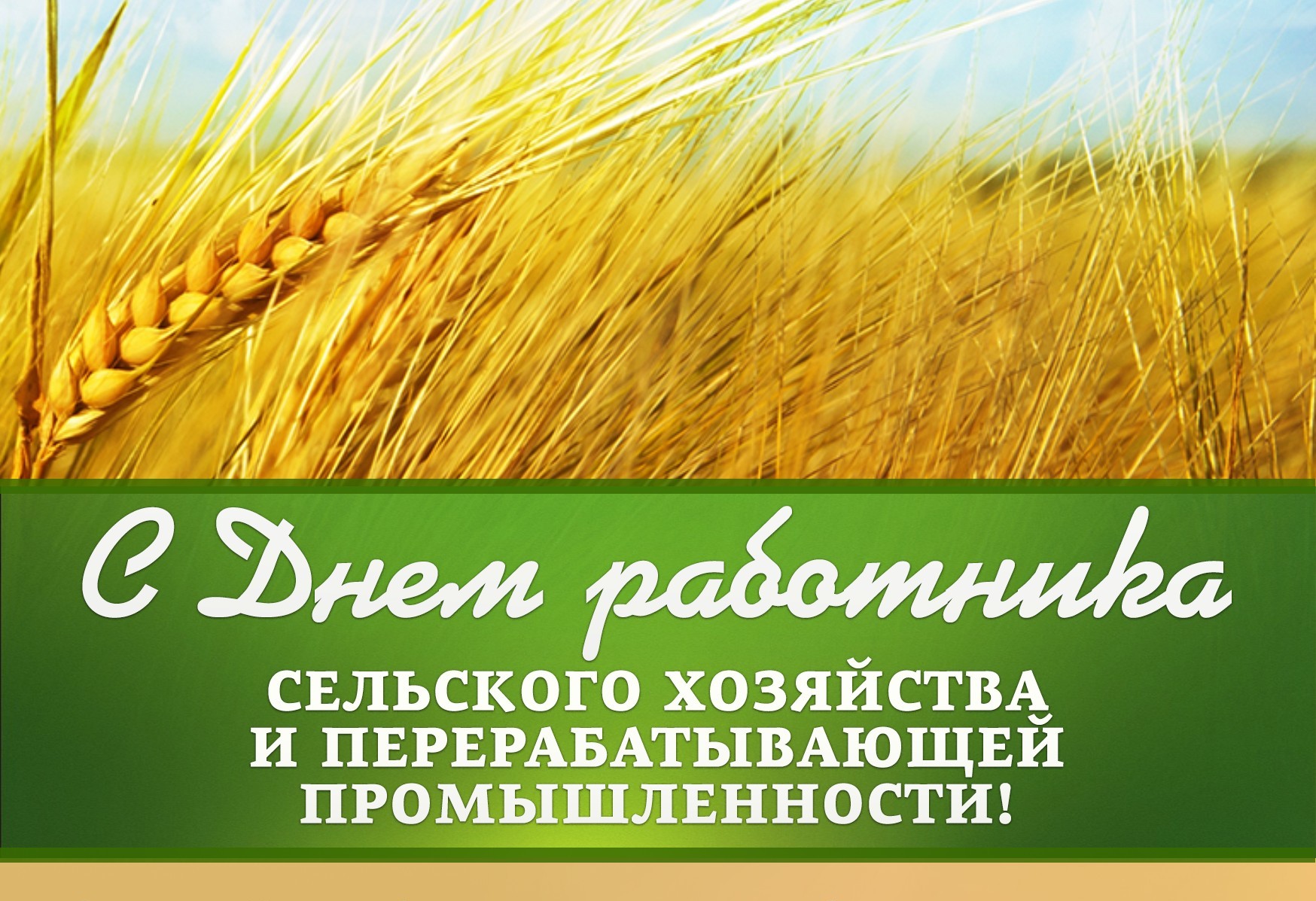 Поздравление мэра Братского района с Днем работников сельского хозяйства и перерабатывающей промышленности